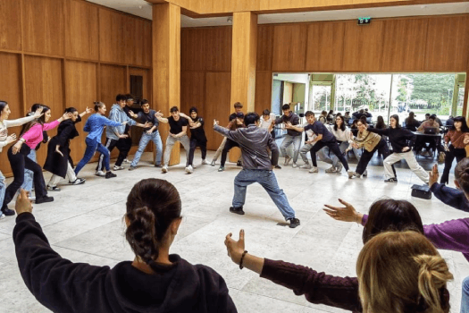 UCD Confucius Institute hosted Italian high school study trip group for the first time